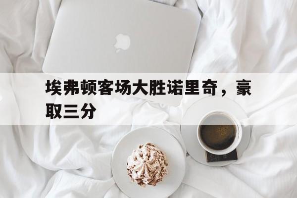 关于埃弗顿客场大胜诺里奇，豪取三分的信息
